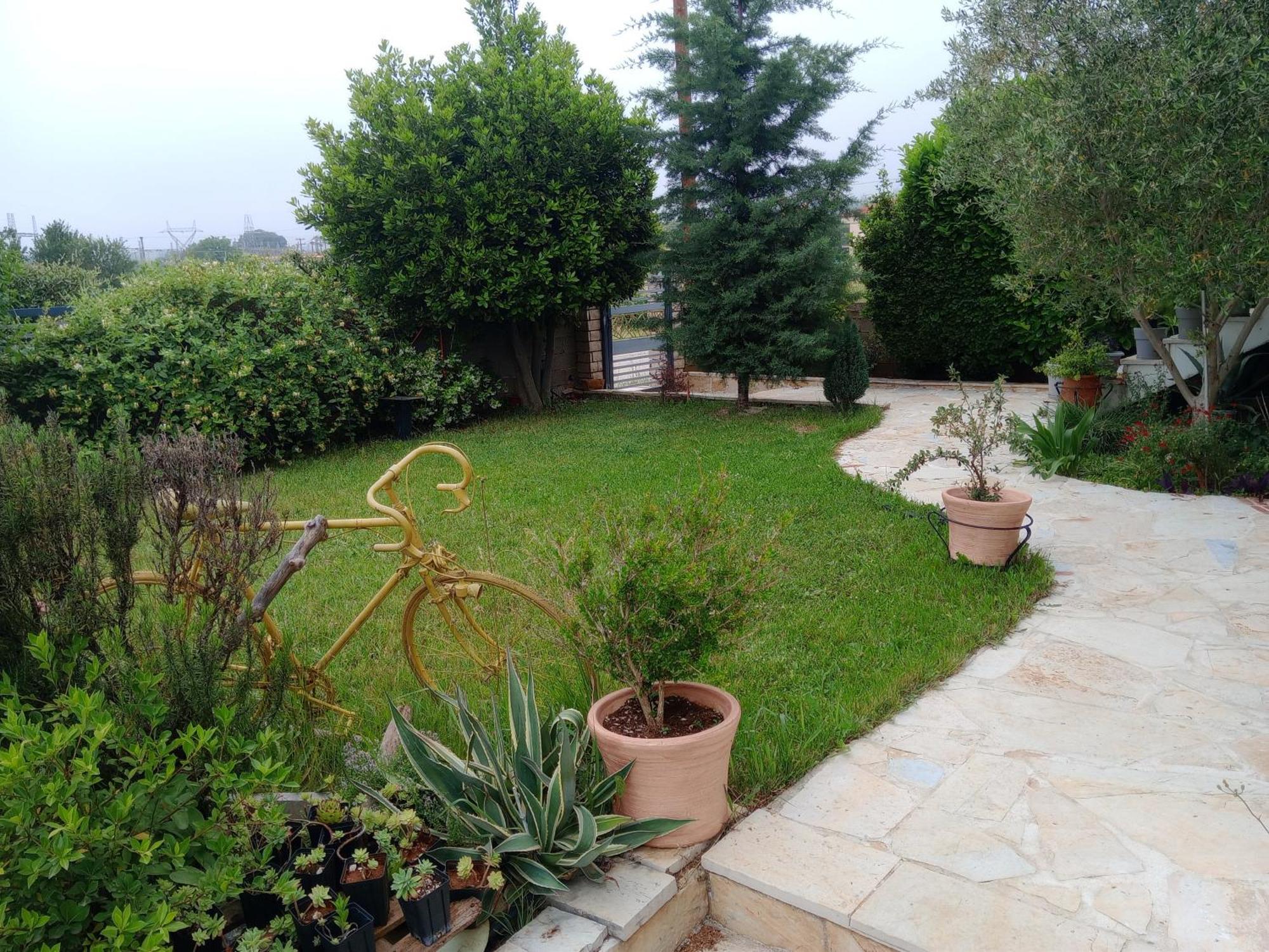 Katerina'S Guest House Ioannina Buitenkant foto